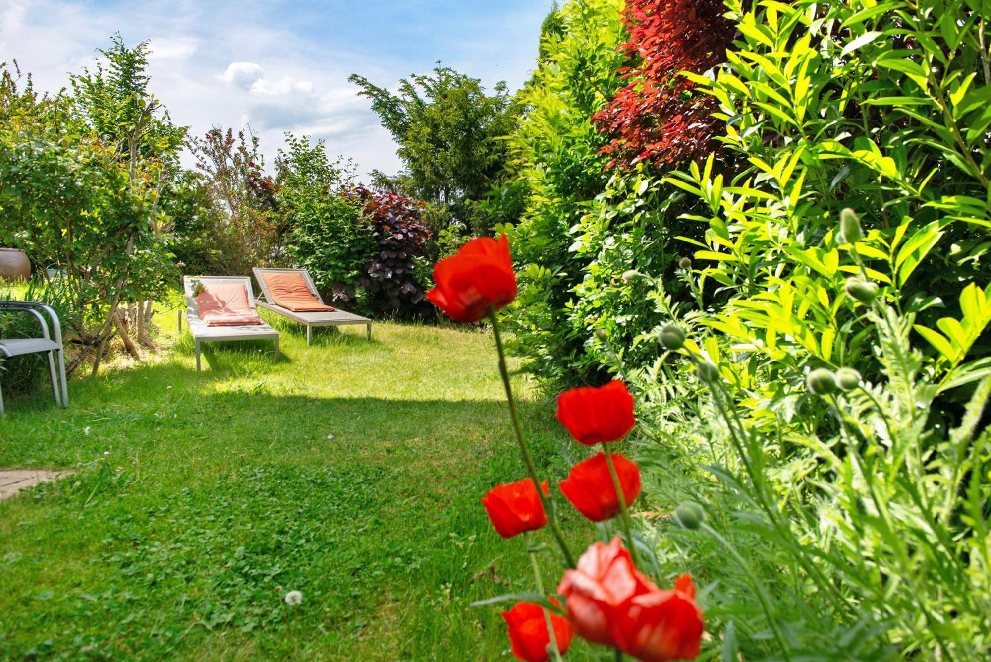 Ferienwohnungen Im Rosengarten Bodman-Ludwigshafen Exterior photo